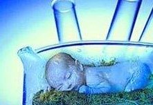 女性有染色体罗氏易位在弥勒市做试管养囊成功率高吗？试管移植后需要保胎吗！