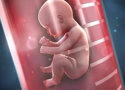 死精率80%的男性可以在福安市做三代试管吗？公开2026做三代试管条件