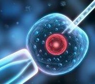 粉碎大豆异黄酮能丰胸的谣言，真实作用原来是...