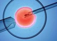 包头有哪些私立机构可以做第三代试管婴儿？费用贵吗？