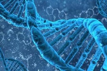 染色体易位在柬埔寨皇家生殖遗传医院金边医院可以做三代试管吗？染色体平衡易位还能生健康的宝宝吗？