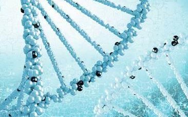 做试管不是人人要吃辅酶Q10，这几种情况吃效果才好