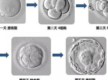死精率80%的男性可以在乐昌市做三代试管吗？公开2026做三代试管条件